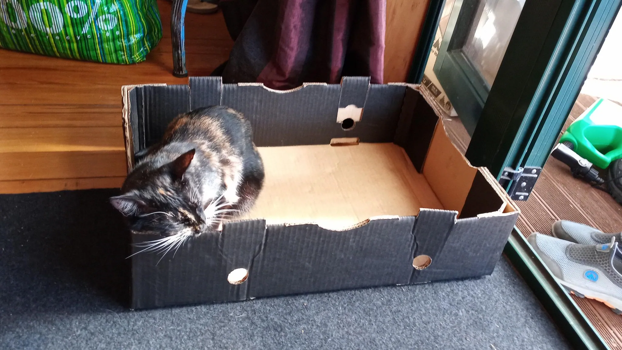 A30.2 cats love boxes (6)